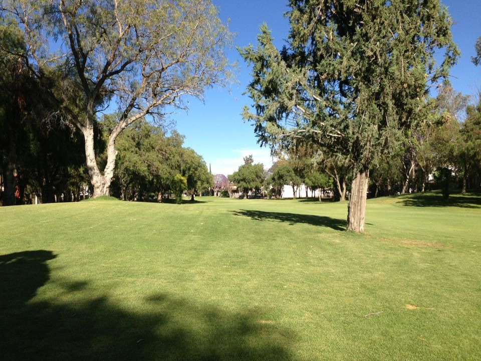 Club de Golf Pulgas Pandas