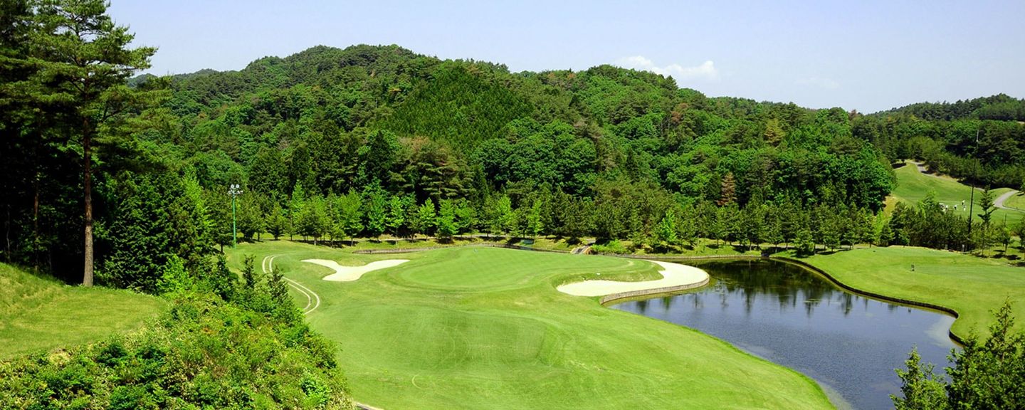Daily Shigaraki Golf