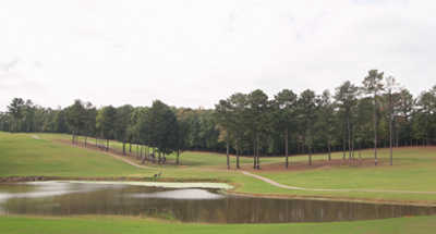 10-hole Course