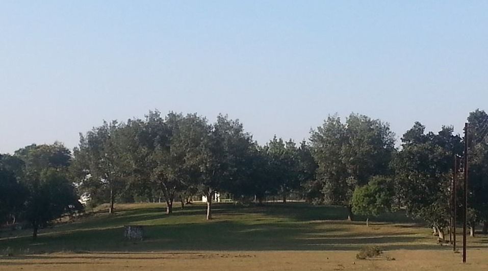Bharat Heavy Electrical Limited Golf Club
