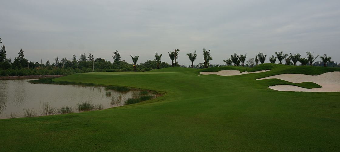 Arirang Course