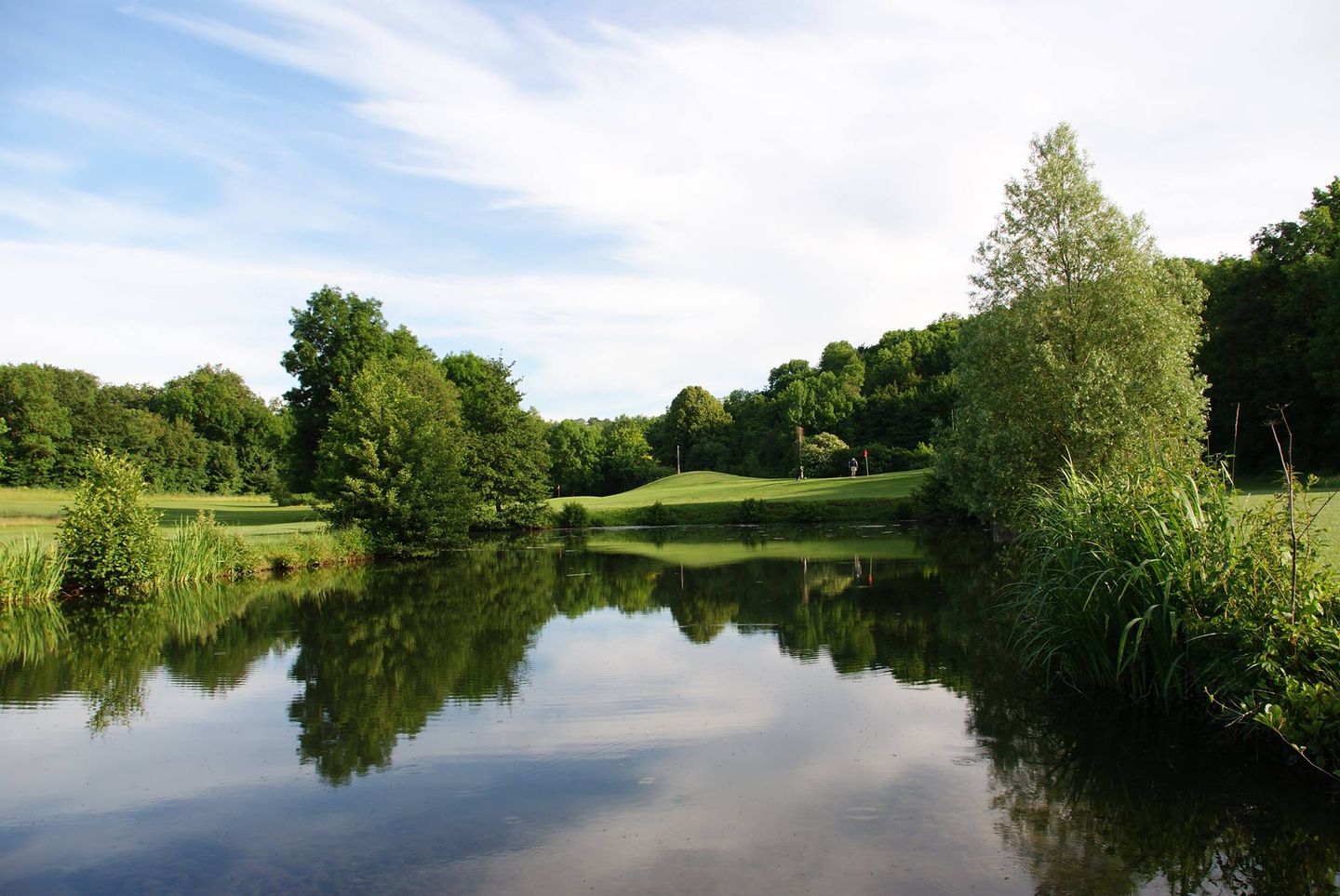 9-holes