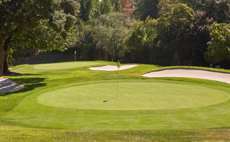Pitch & Putt