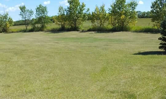 Bengough Regional Golf Club