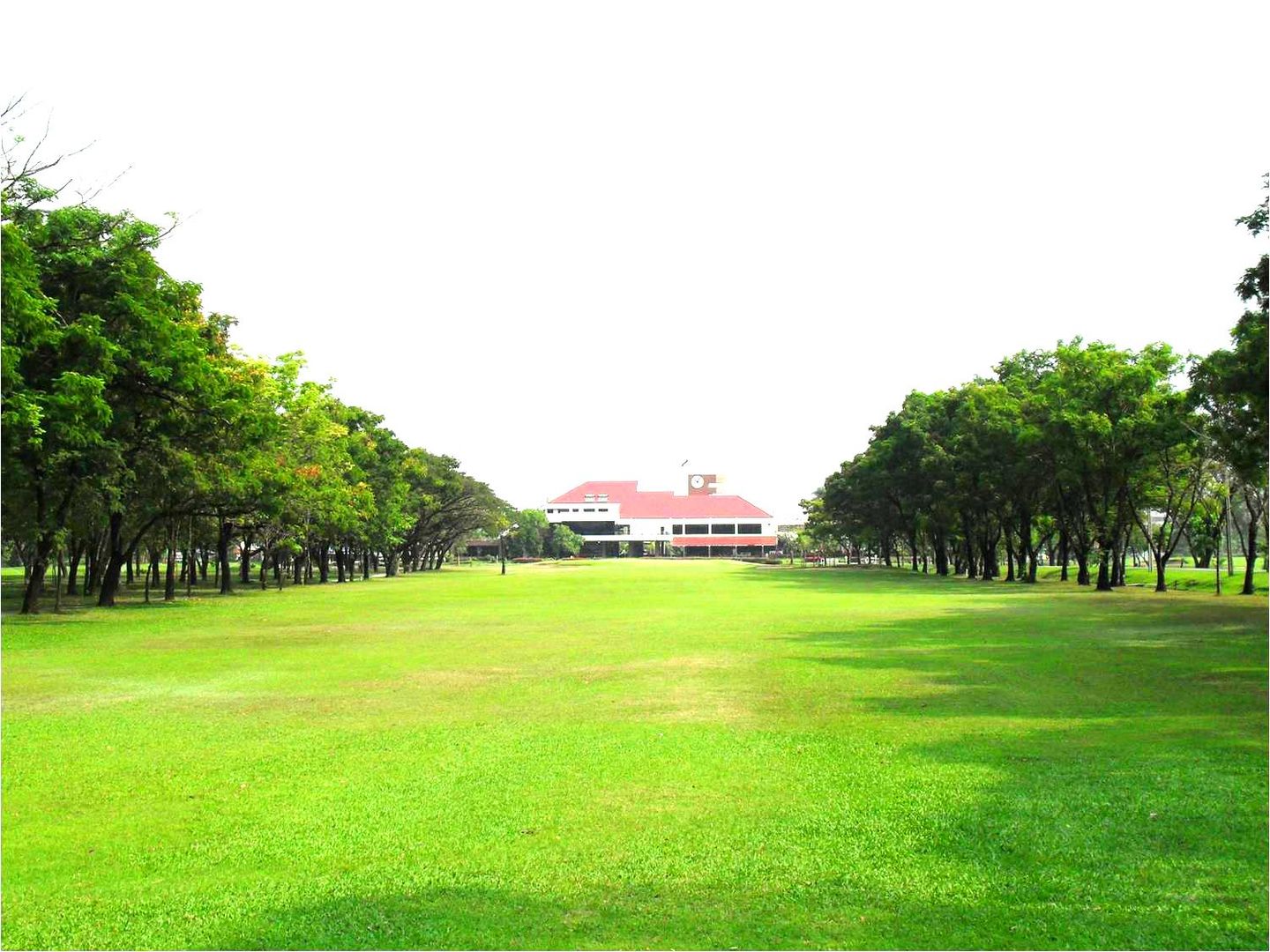 New Course