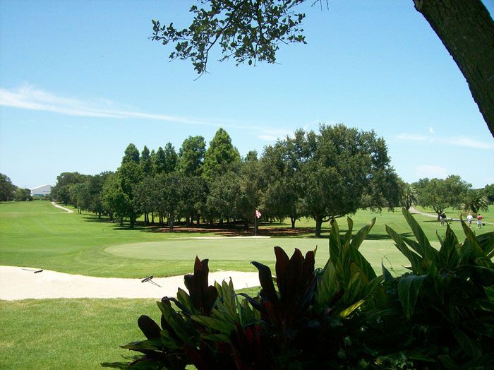 Dunedin Golf Club