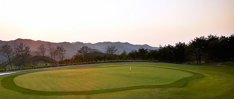 Rose Park Par-3
