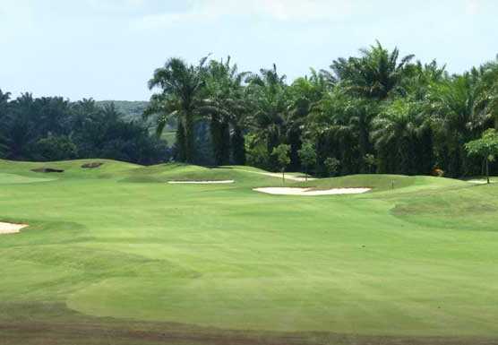 Palm/IOI Course