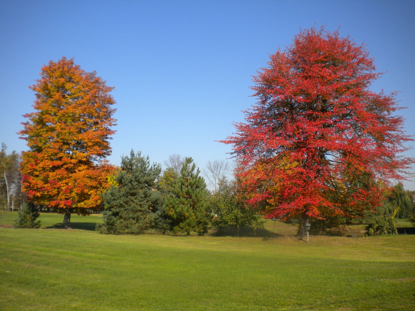 Willow Springs Golf and Country Club