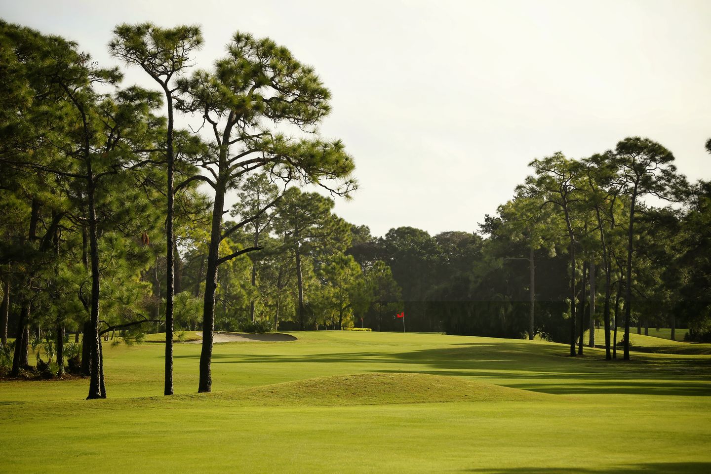 Palmetto-Pine Country Club