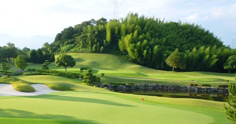 Turtle Ace Golf Club