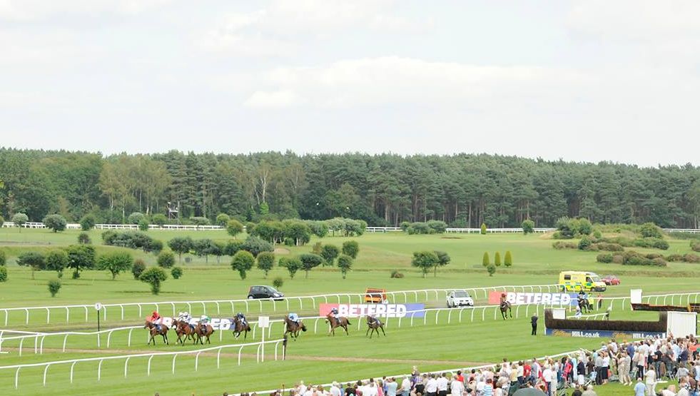 Market Rasen Racecourse Golf Course