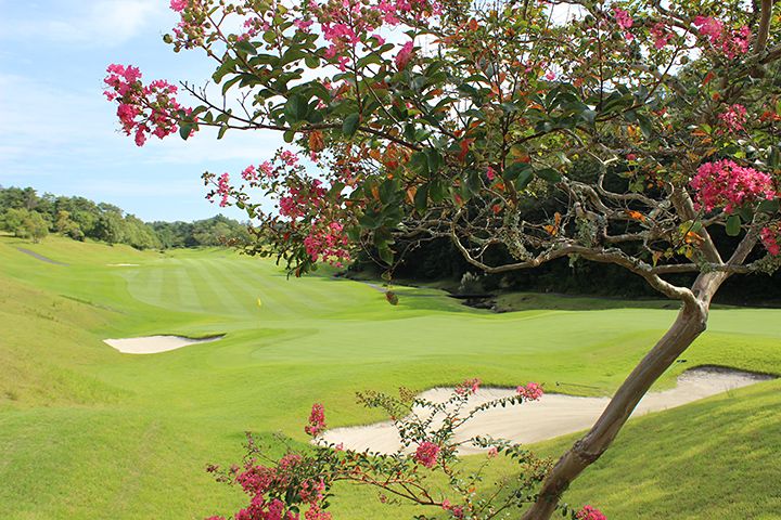 St. Creek Golf Club