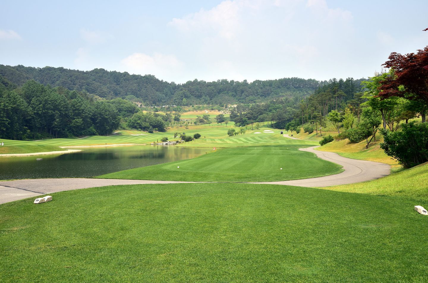 South Course