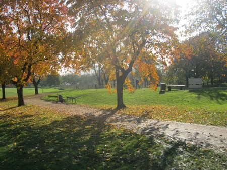 Par 3 Course