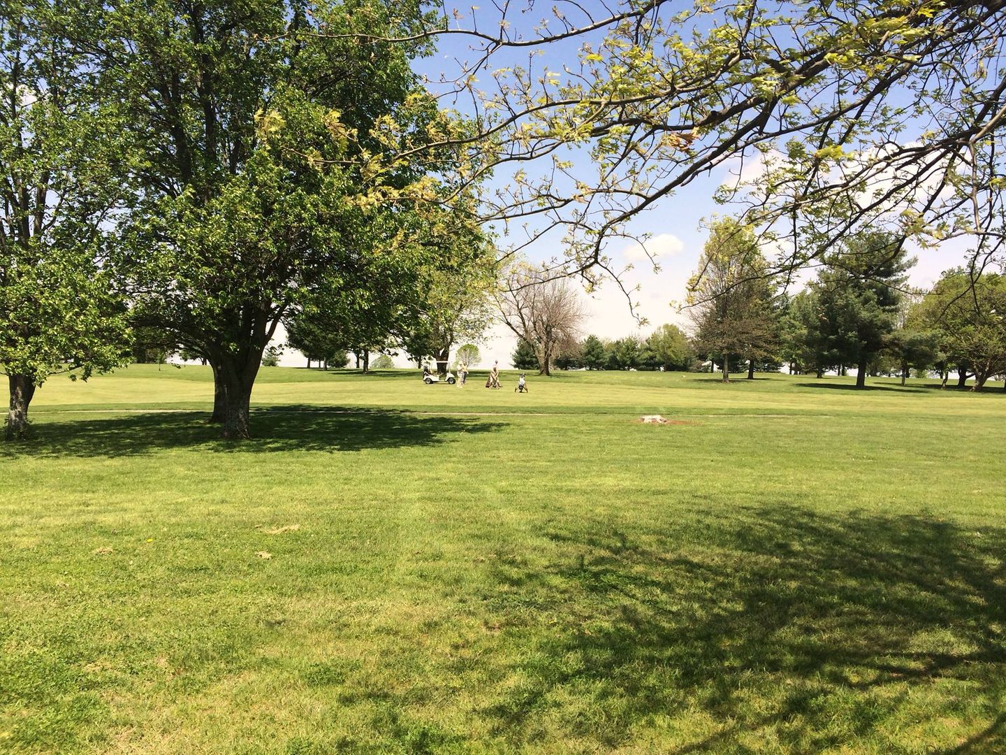 The Woodford Club