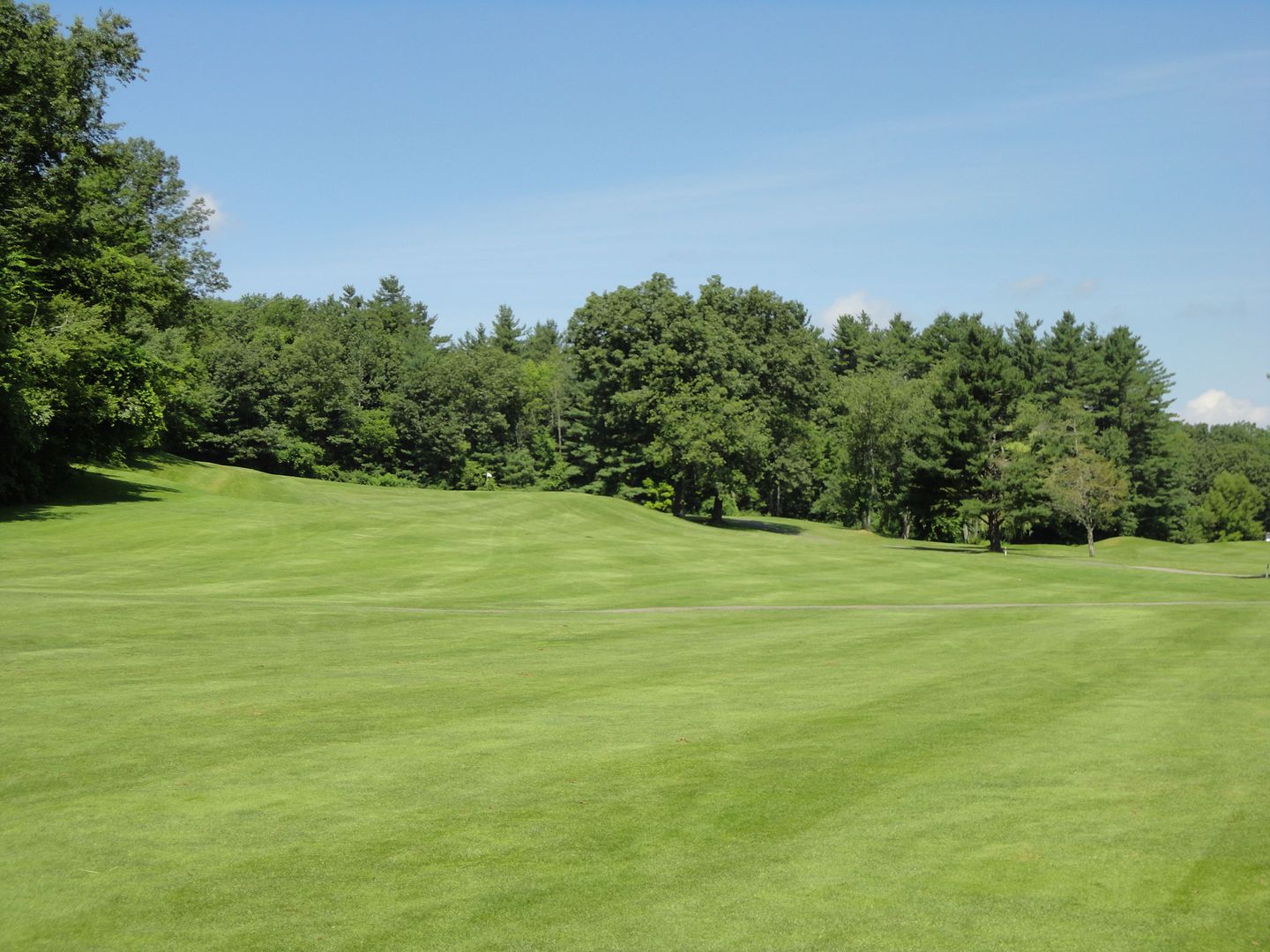 Hawk/Fox Course