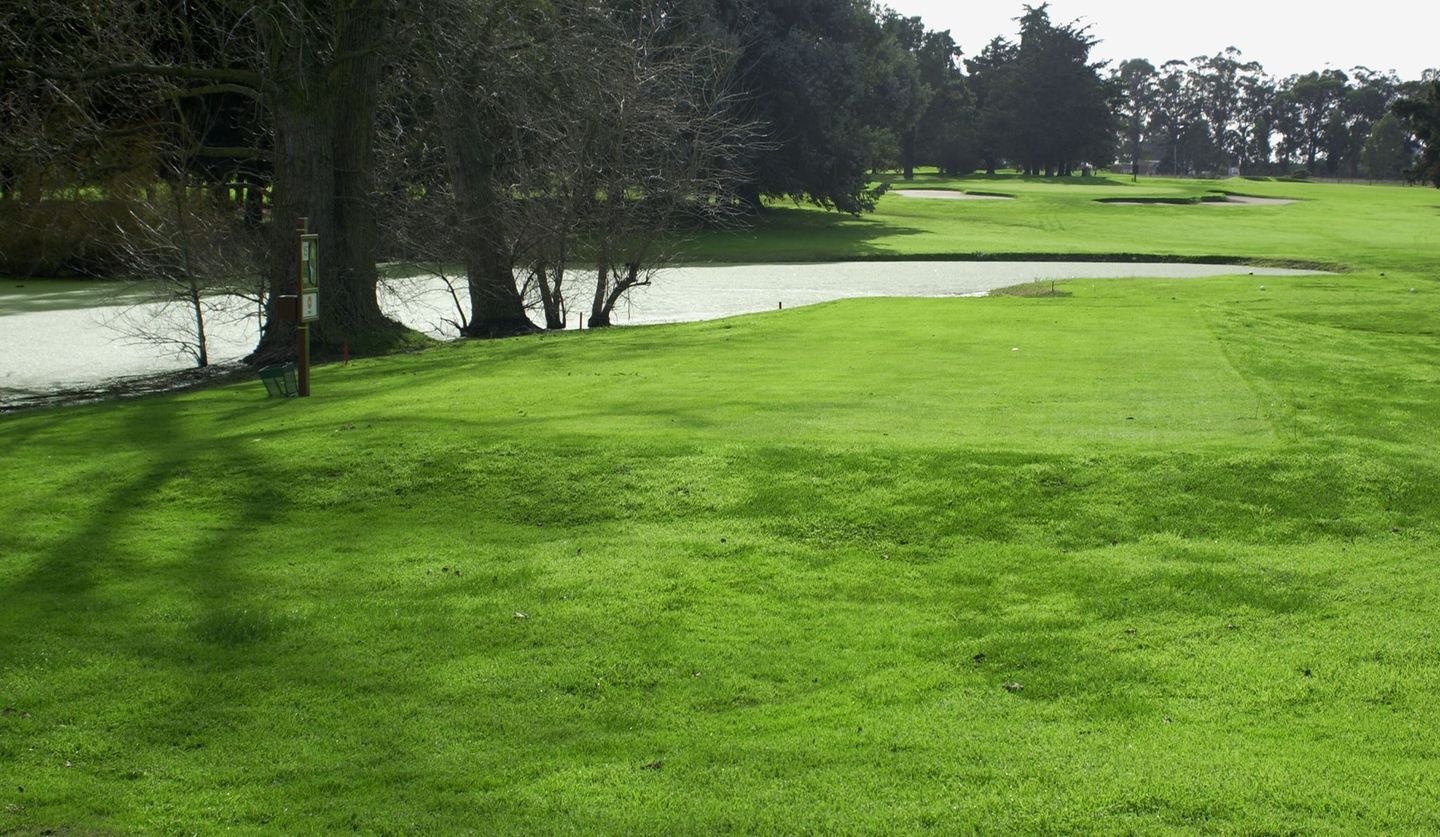 Yellow Course