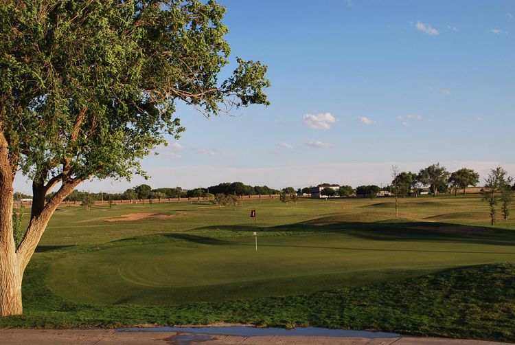 Reese Golf Center