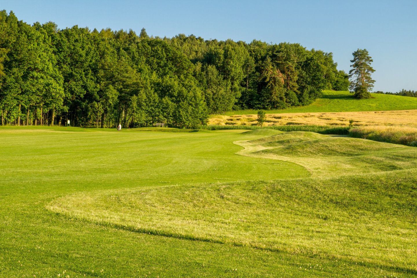 Golf Club Na Vrsich