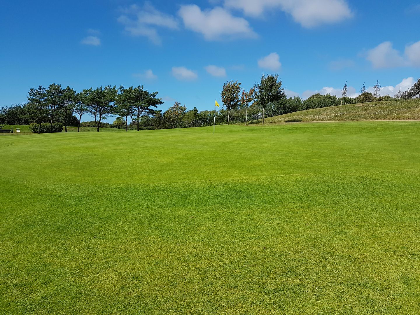 Yellow Course