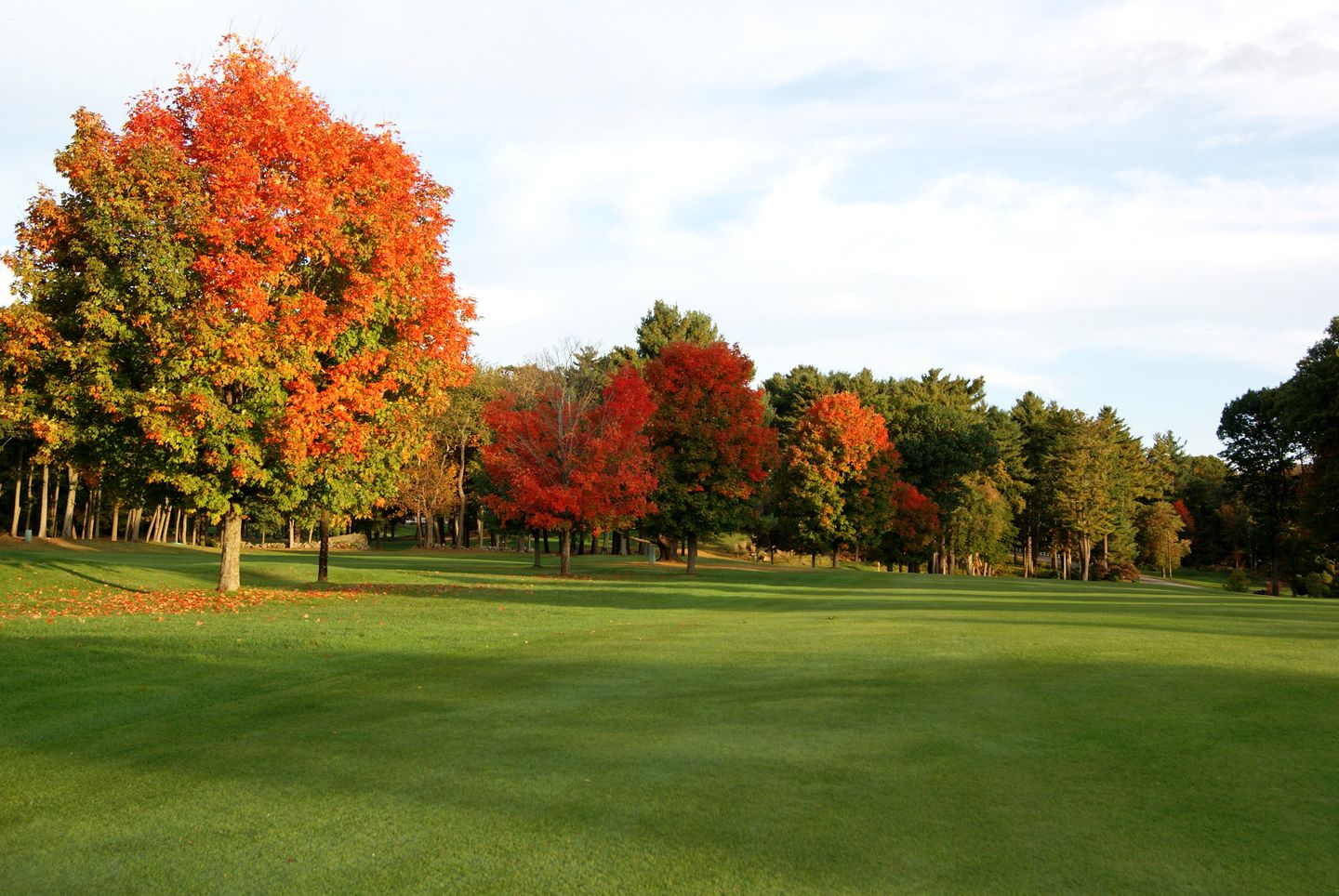 Wollaston Golf Club