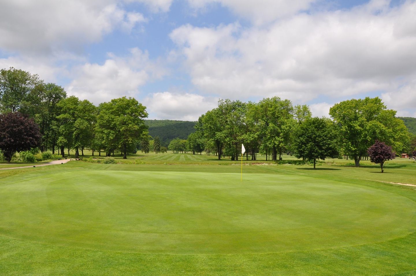 Pine Course