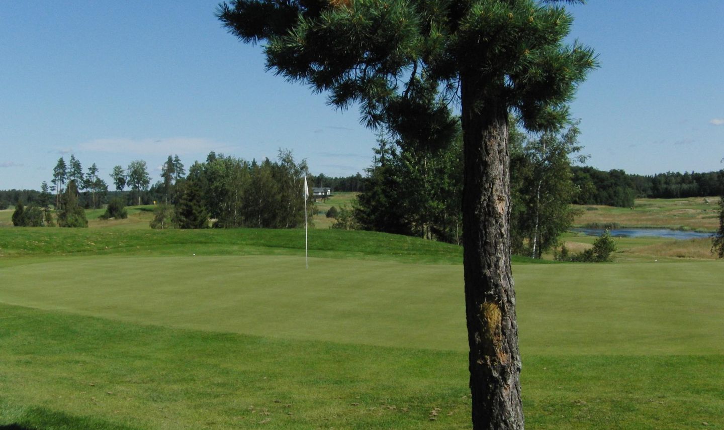 Yellow Course