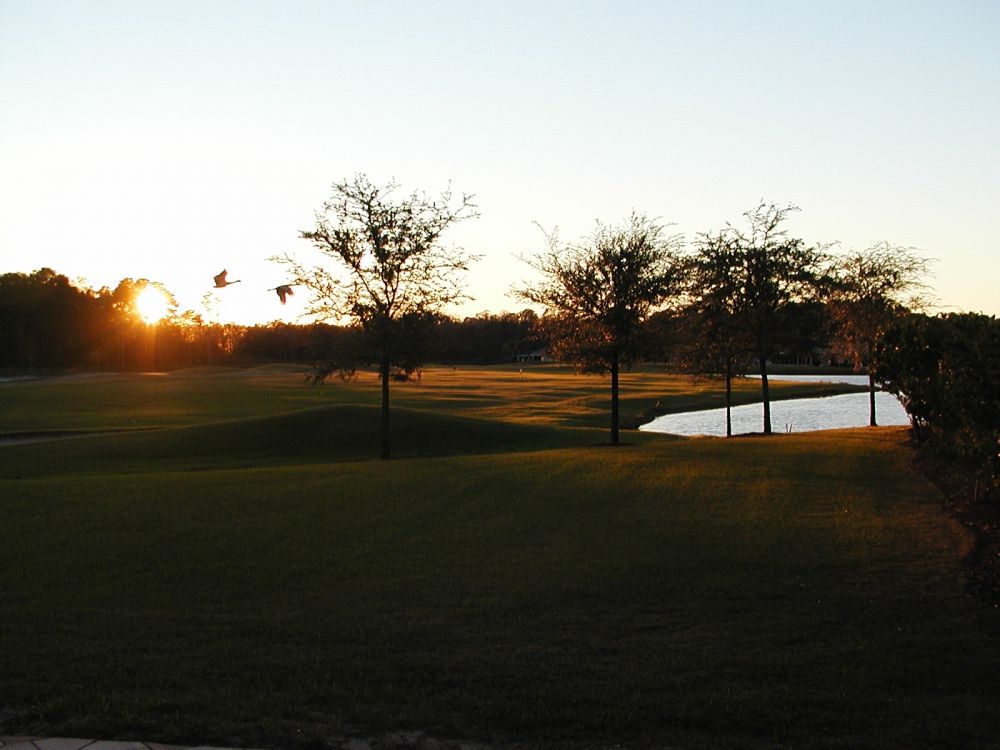 Tampa Bay Golf & Country Club