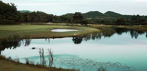 Olympus Course