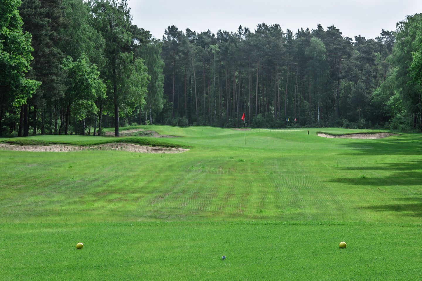 Short Course
