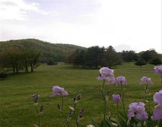 Steel Creek Golf Course