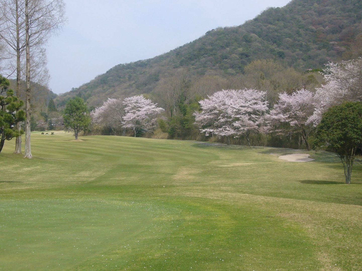 West/East Course