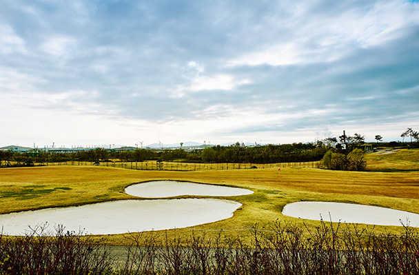 Dream Park Country Club