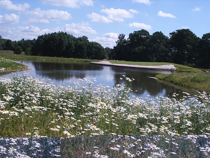 Championship Course
