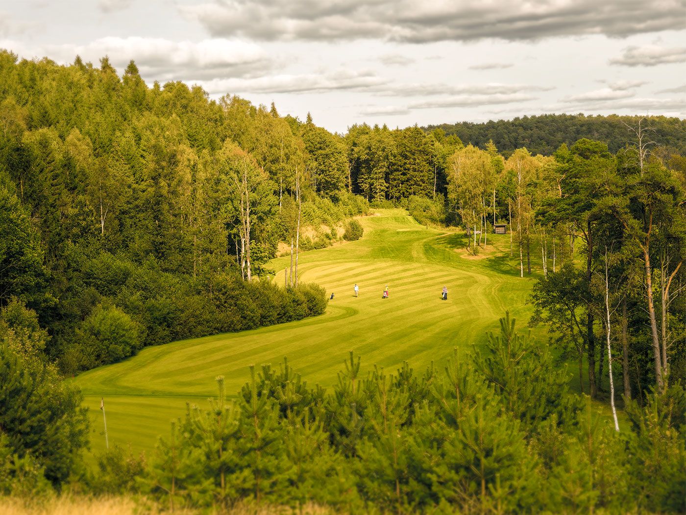 9-Holes Course