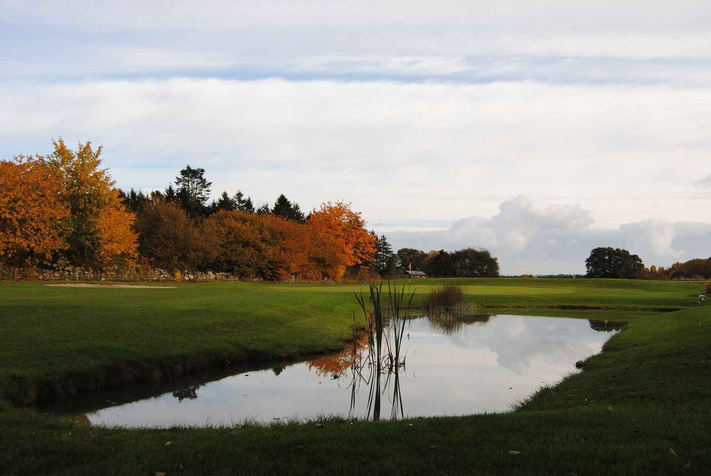 Short Course
