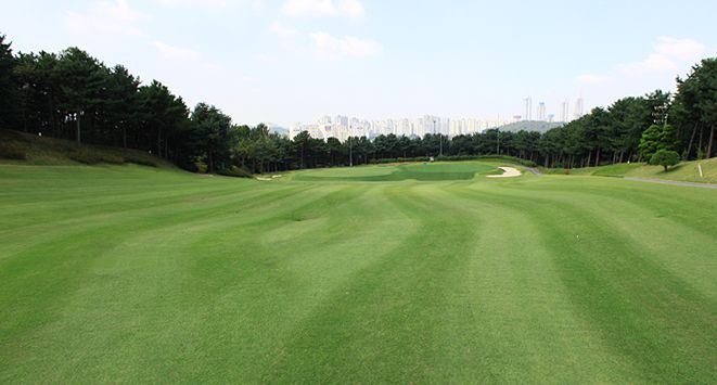 Pine Hill Course