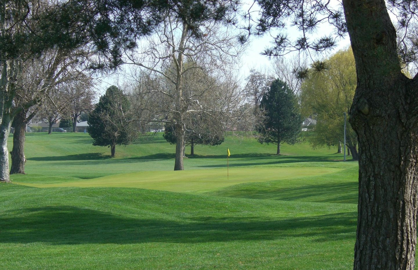 Zintel Creek Golf Club