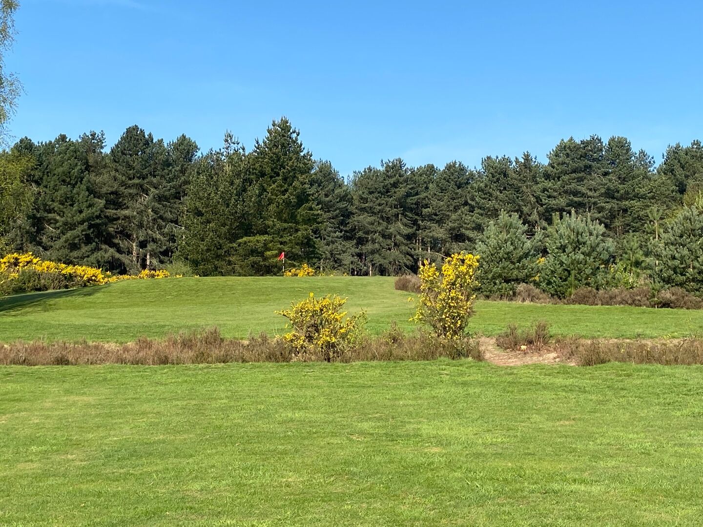 Oakmere Park Golf Club
