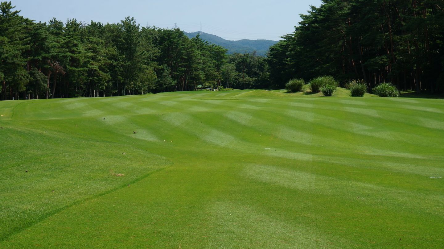 Three Lakes Country Club