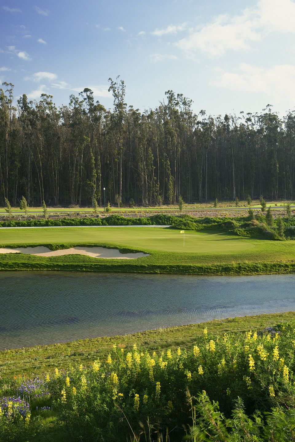 The Old Course