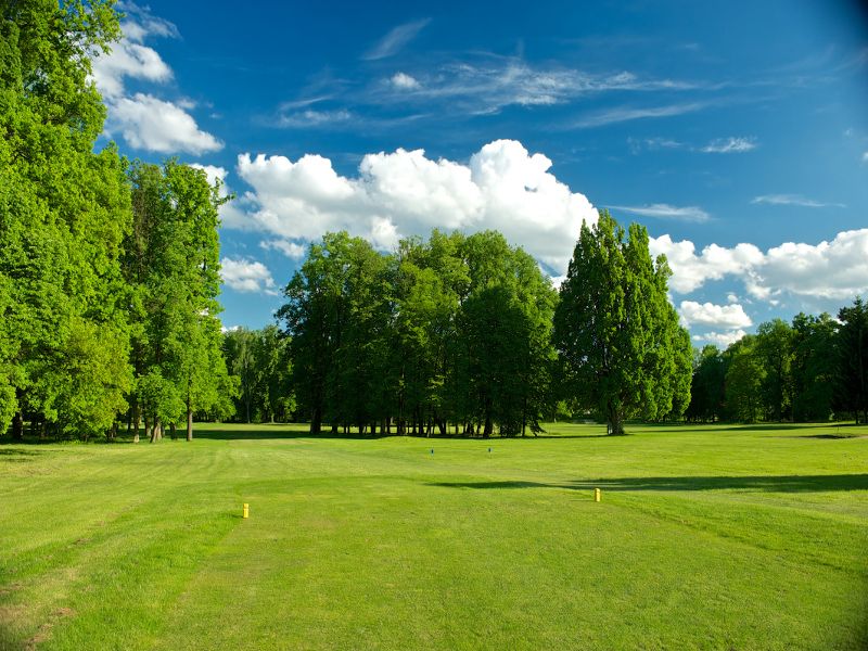 Queen's Park Golf Club Mysteves