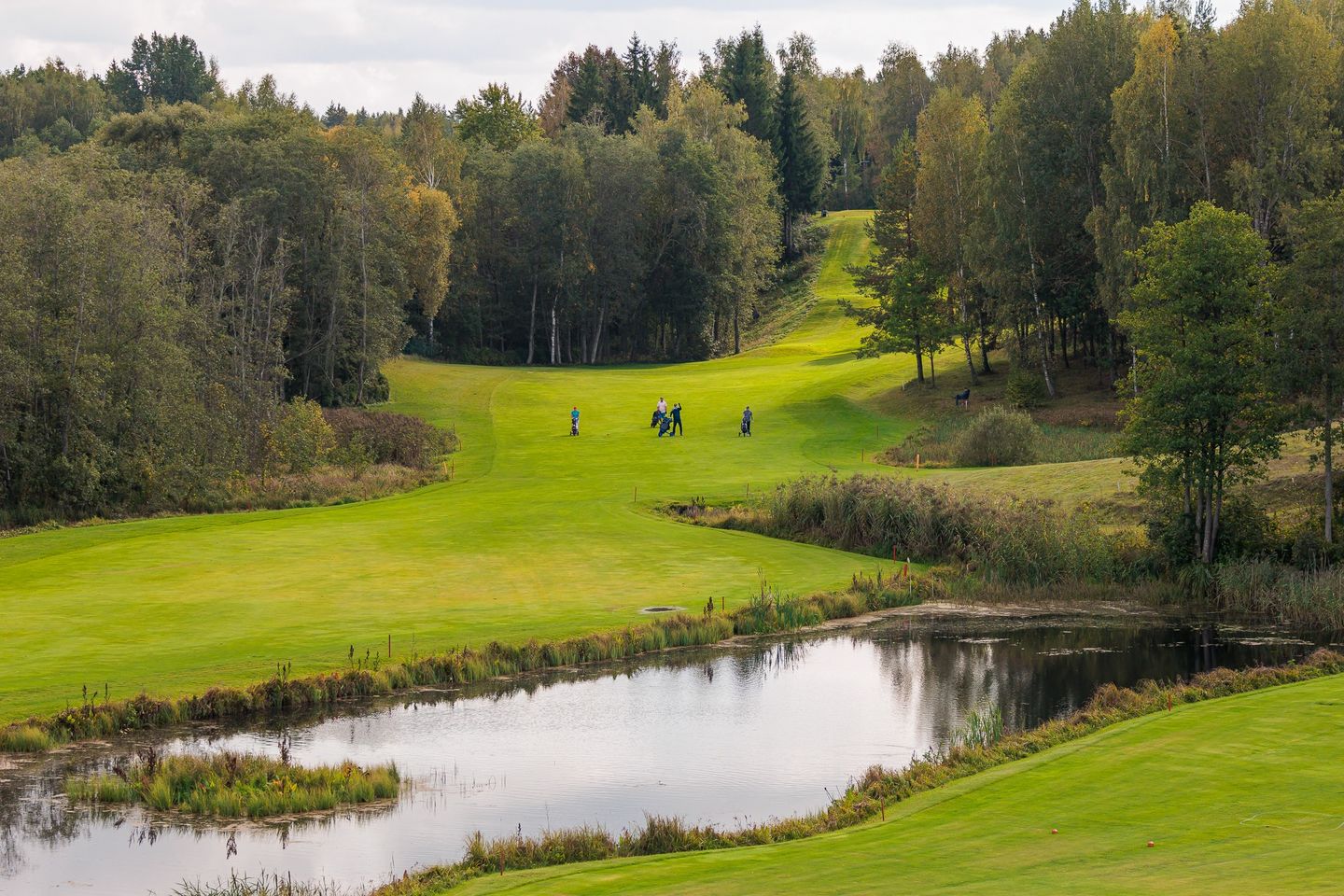 European Center Golf Club