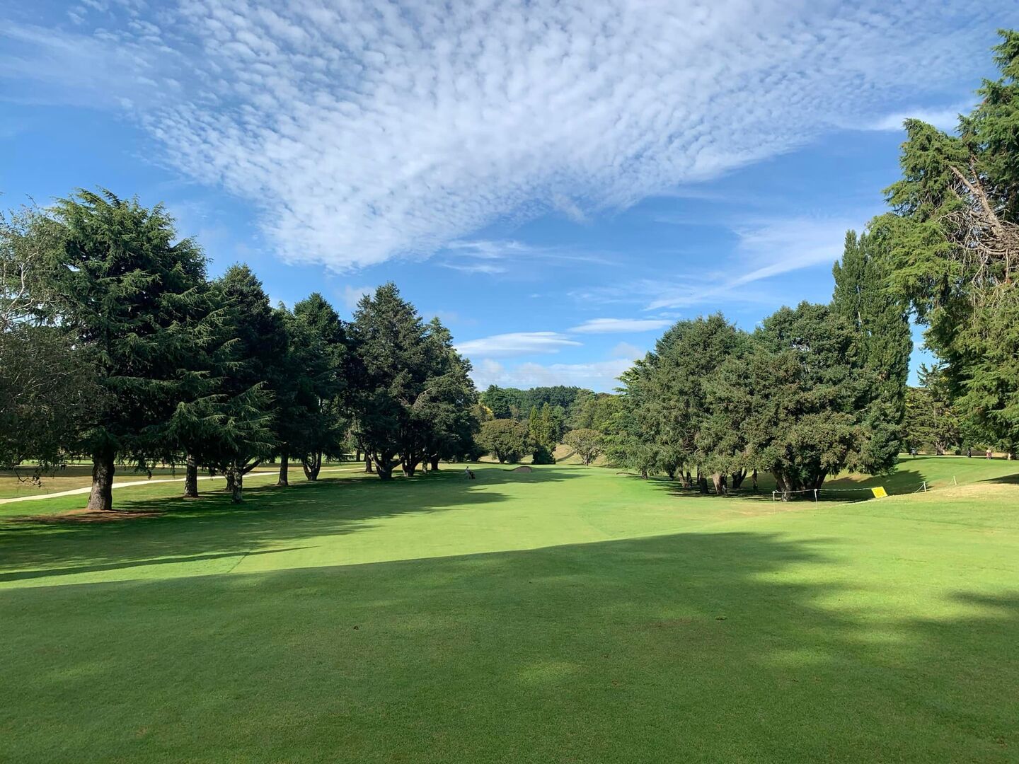 Napier Golf Club