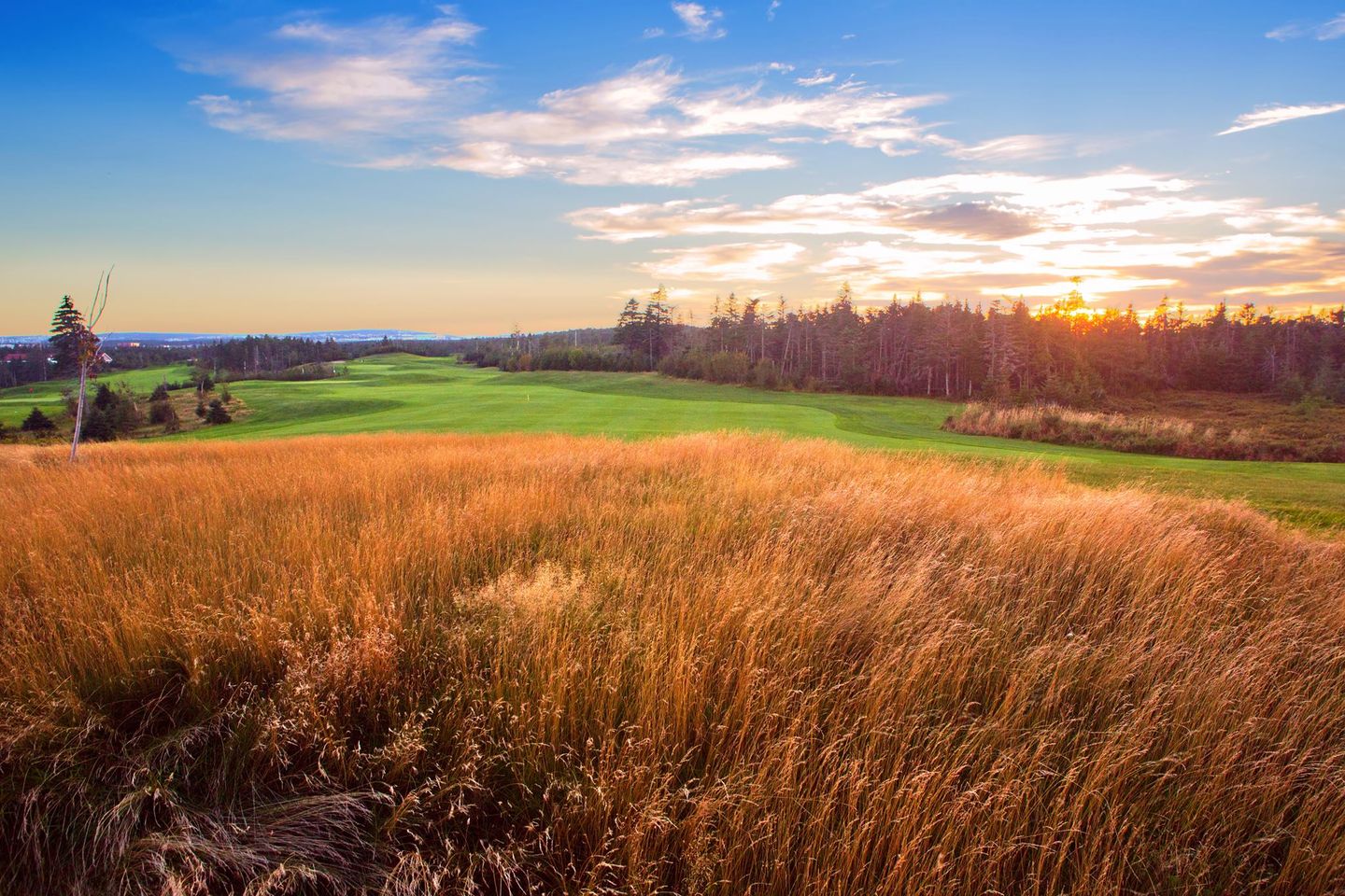 Clovelly Golf Course