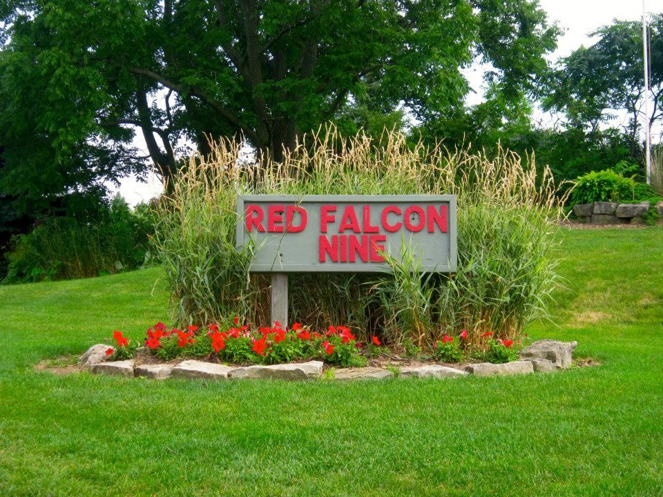 Red Falcon/Gold Eagle