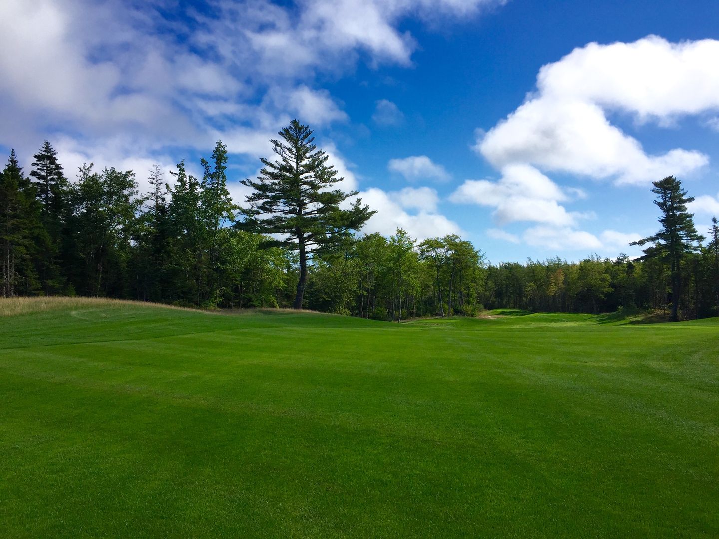 Aspotogan Ridge Golf Club