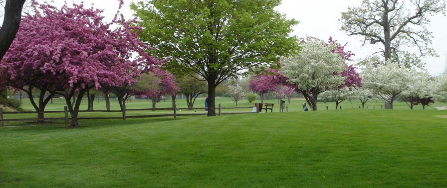 Shiloh Park Golf Course