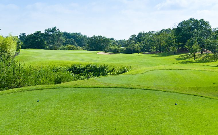Prince Course